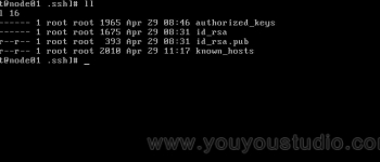 Hadoop3.1.1全分布式安装部署之SSH免秘钥登录